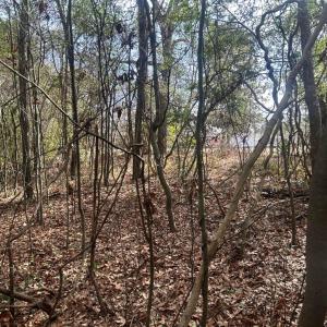 20260122181611564550000000-o