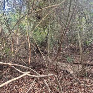 20260122181557374683000000-o