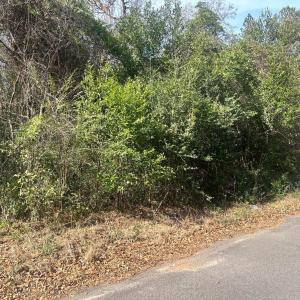 20260122181225587647000000-o