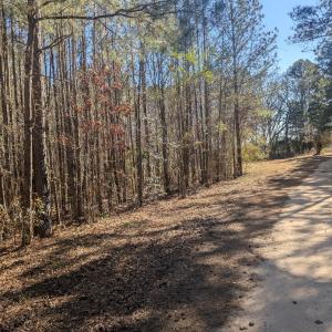 PXL_20260213_193115077.MP