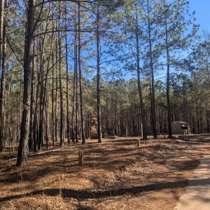 PXL_20260213_193034269.MP