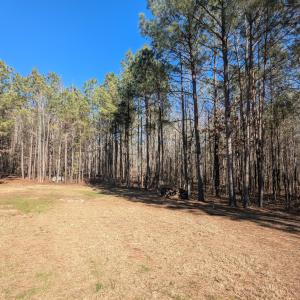 PXL_20260213_194135999