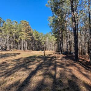 PXL_20260213_194109465