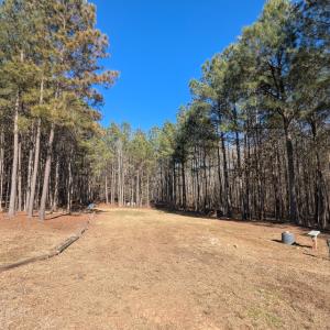 PXL_20260213_194033398