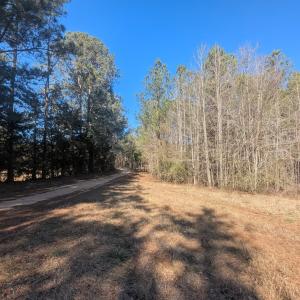 PXL_20260213_193844834