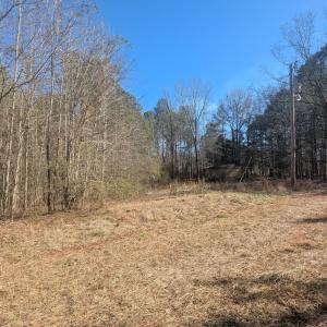 PXL_20260213_193133347