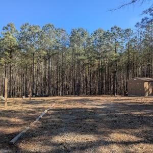 PXL_20260213_193050300.MP