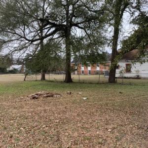 2C476989-6918-43ED-9A39-4D1AB7C191FF