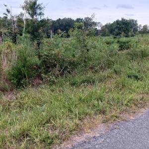 Photo #2 of 644 Buffalo Heights Rd., Farmville, VA 9.6 acres