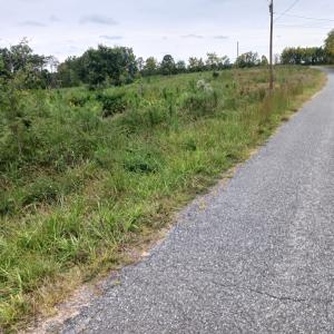 Photo #3 of 644 Buffalo Heights Rd., Farmville, VA 9.6 acres