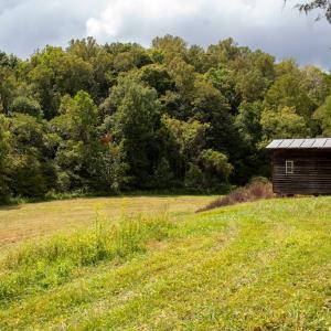 Photo #23 of South County Line Rd, Patrick Springs, VA 134.8 acres