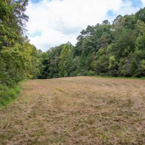 Photo #27 of South County Line Rd, Patrick Springs, VA 134.8 acres
