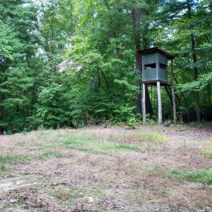 Photo #28 of South County Line Rd, Patrick Springs, VA 134.8 acres