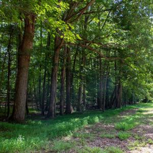 Photo #31 of South County Line Rd, Patrick Springs, VA 134.8 acres