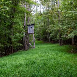 Photo #48 of South County Line Rd, Patrick Springs, VA 134.8 acres