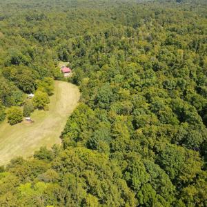 Photo #53 of South County Line Rd, Patrick Springs, VA 134.8 acres