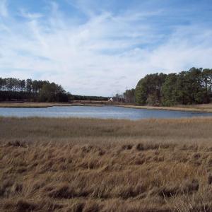 Photo #3 of Lot #16 METOMPKIN RD, GARGATHA, VA 6.6 acres
