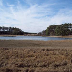 Photo #6 of Lot #13 METOMPKIN RD, GARGATHA, VA 5.0 acres