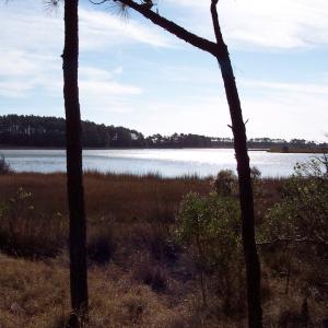 Photo #2 of Lot #6 METOMPKIN RD, GARGATHA, VA 5.3 acres