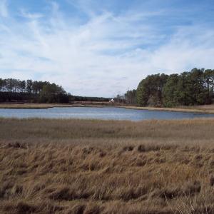 Photo #3 of Lot #6 METOMPKIN RD, GARGATHA, VA 5.3 acres