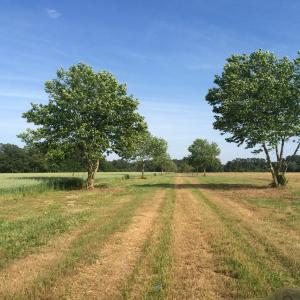 Photo #2 of METOMPKIN RD, GARGATHA, VA 91.8 acres