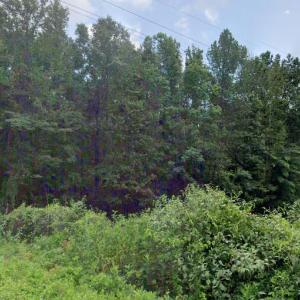 pic off bradleyville road