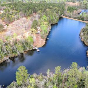 Main Pond Aerial View