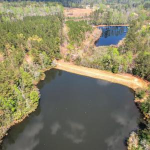 Main Pond Aerial View 2