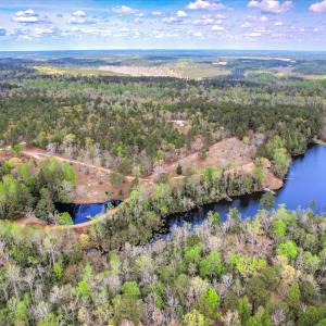 Aerial of Both Ponds