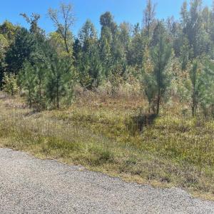 Photo #3 of 104 Pine Rd, Blackstone, VA 4.4 acres