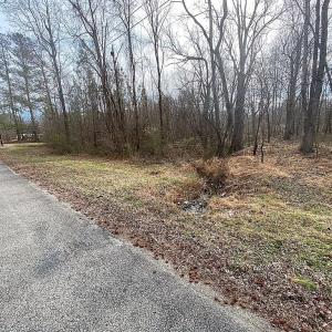 Photo #3 of 104 Pine Rd, Blackstone, VA 4.4 acres