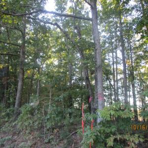 Photo #3 of 626 Rubermont, Victoria, VA 9.2 acres
