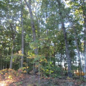 Photo #2 of 626 Rubermont, Victoria, VA 11.4 acres