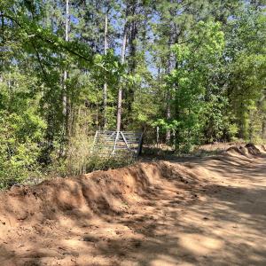 3d116e3d021b8284ec92131ed7373a73205c271f