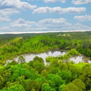 6-web-or-mls-DJI_0010