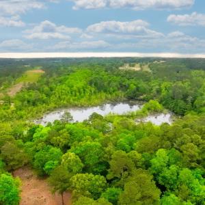 4-web-or-mls-DJI_0008