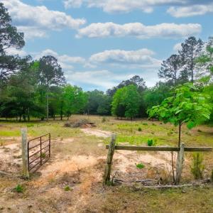 11-web-or-mls-DJI_0015
