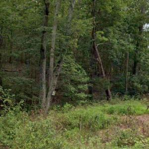 Photo #2 of GREENWICH ROAD, NOKESVILLE, VA 34.5 acres
