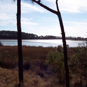 Photo #5 of Lot #1 METOMPKIN RD, GARGATHA, VA 3.7 acres