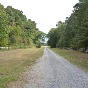 Photo #13 of 2 OYSTER RUN LANE, EASTVILLE, VA 713.0 acres