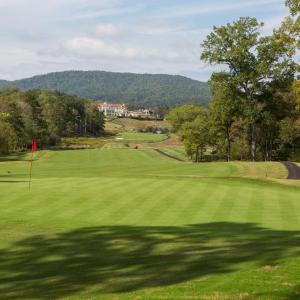 Photo #2 of Lot 62 PALMER DR, KESWICK, VA 2.5 acres