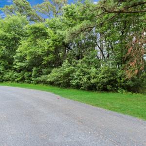 Photo #3 of LOT 43 NEPTUNE DR, GREENBACKVILLE, VA 11,917.0 acres