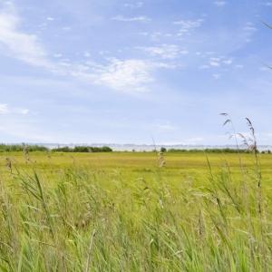 Photo #4 of LOT 43 NEPTUNE DR, GREENBACKVILLE, VA 11,917.0 acres