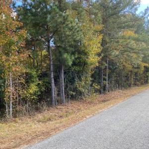 Photo #4 of Claibornetown Rd., Emporia, VA 1.0 acres