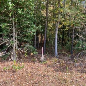 Photo #5 of Claibornetown Rd., Emporia, VA 1.0 acres