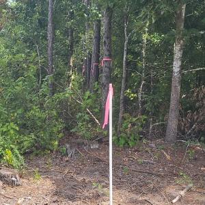 Photo #6 of Claibornetown Rd., Emporia, VA 1.0 acres