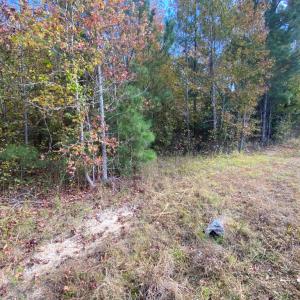 Photo #7 of Claibornetown Rd., Emporia, VA 1.0 acres