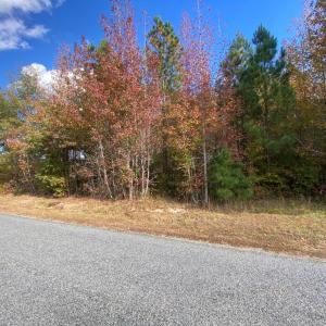 Photo #9 of Claibornetown Rd., Emporia, VA 1.0 acres