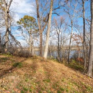 Photo #5 of Boxwood Shores Drive, Boydton, VA 1.2 acres