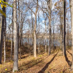 Photo #6 of Boxwood Shores Drive, Boydton, VA 0.9 acres